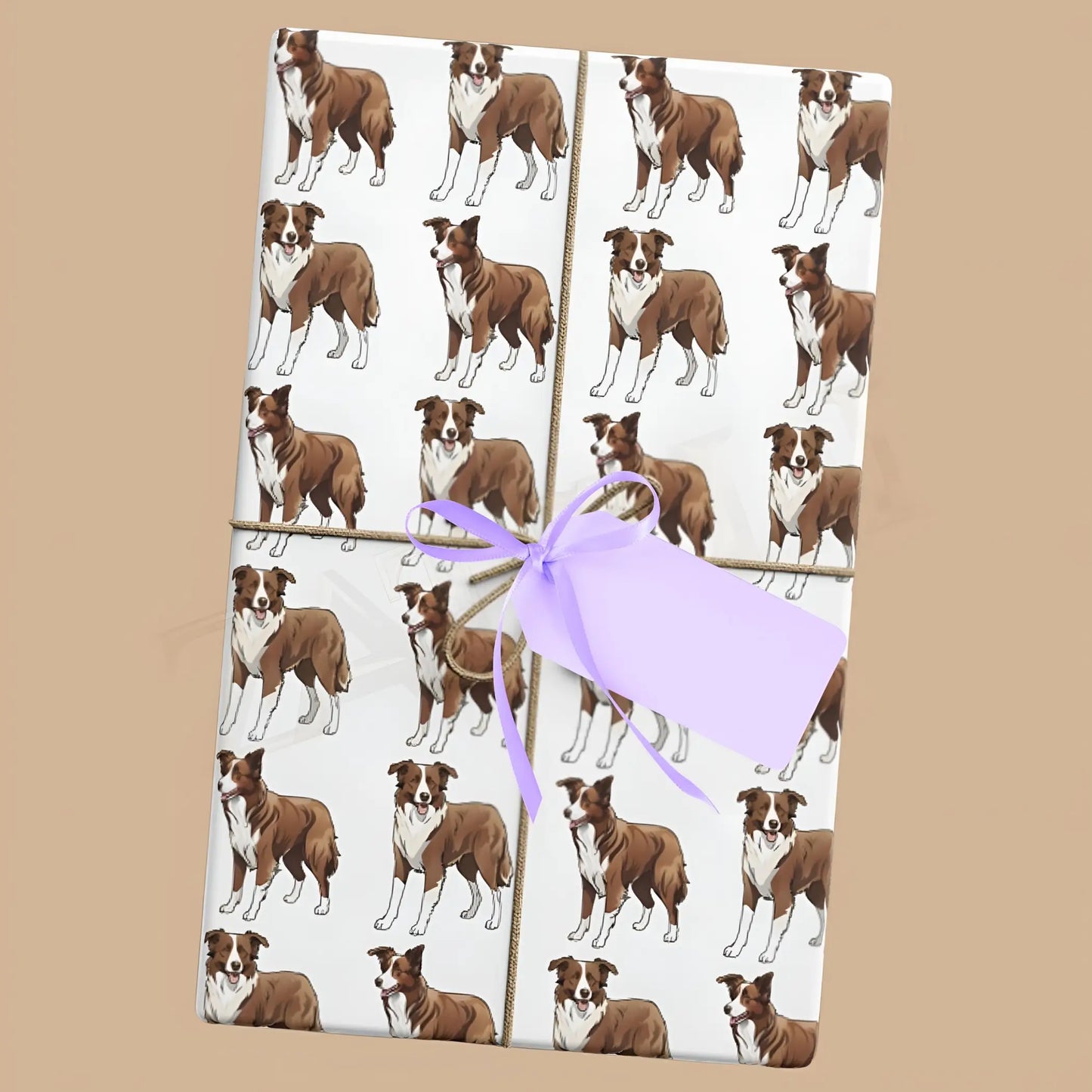 Chocolate and White Border Collie Wrapping Paper - 20’’ x 28’’ / Single sheet / Satin - Wrapping paper