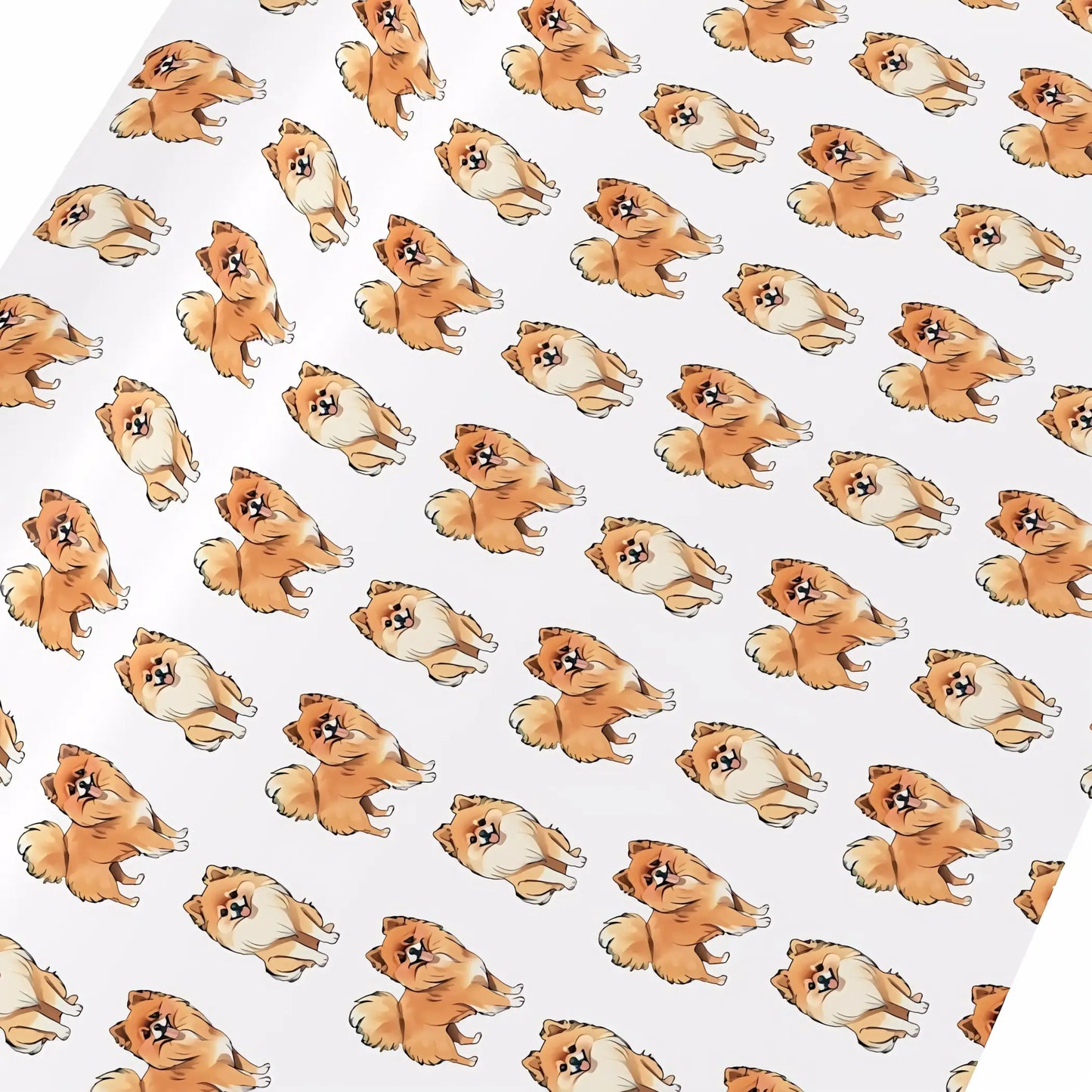 Flat lay of Pomeranian Wrapping Paper