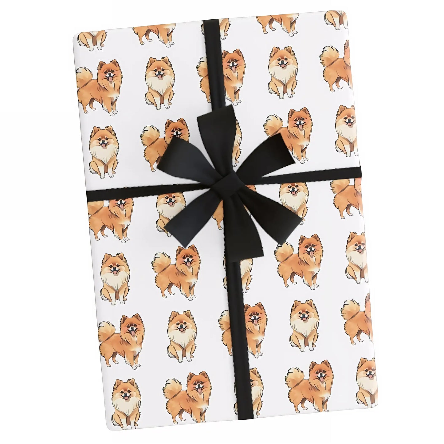 White with realistic Pomeranians in rows
