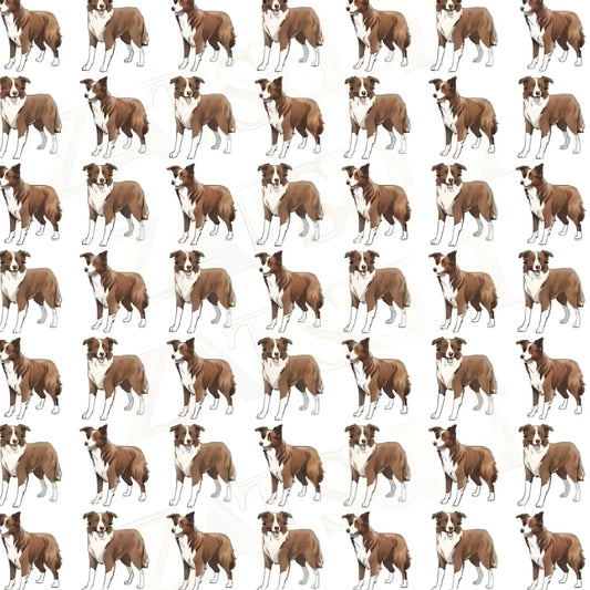Chocolate and White Border Collie Wrapping Paper - Wrapping paper